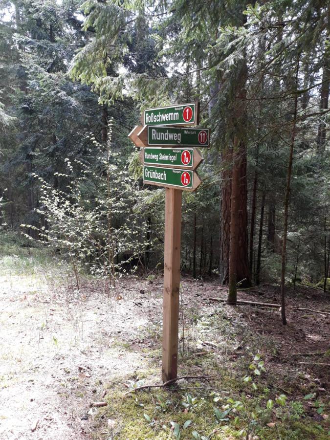 AnNo - Die Wohlfühl - Idylle in Grünbach_Kirchdorf Kirchdorf im Wald Exterior foto